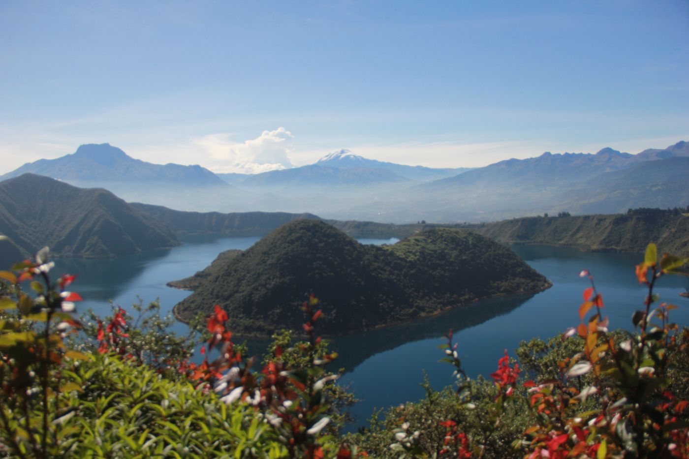 Lake Cuicocha seen from the ridge, with the Andes behind and wild flowers in the foreground
