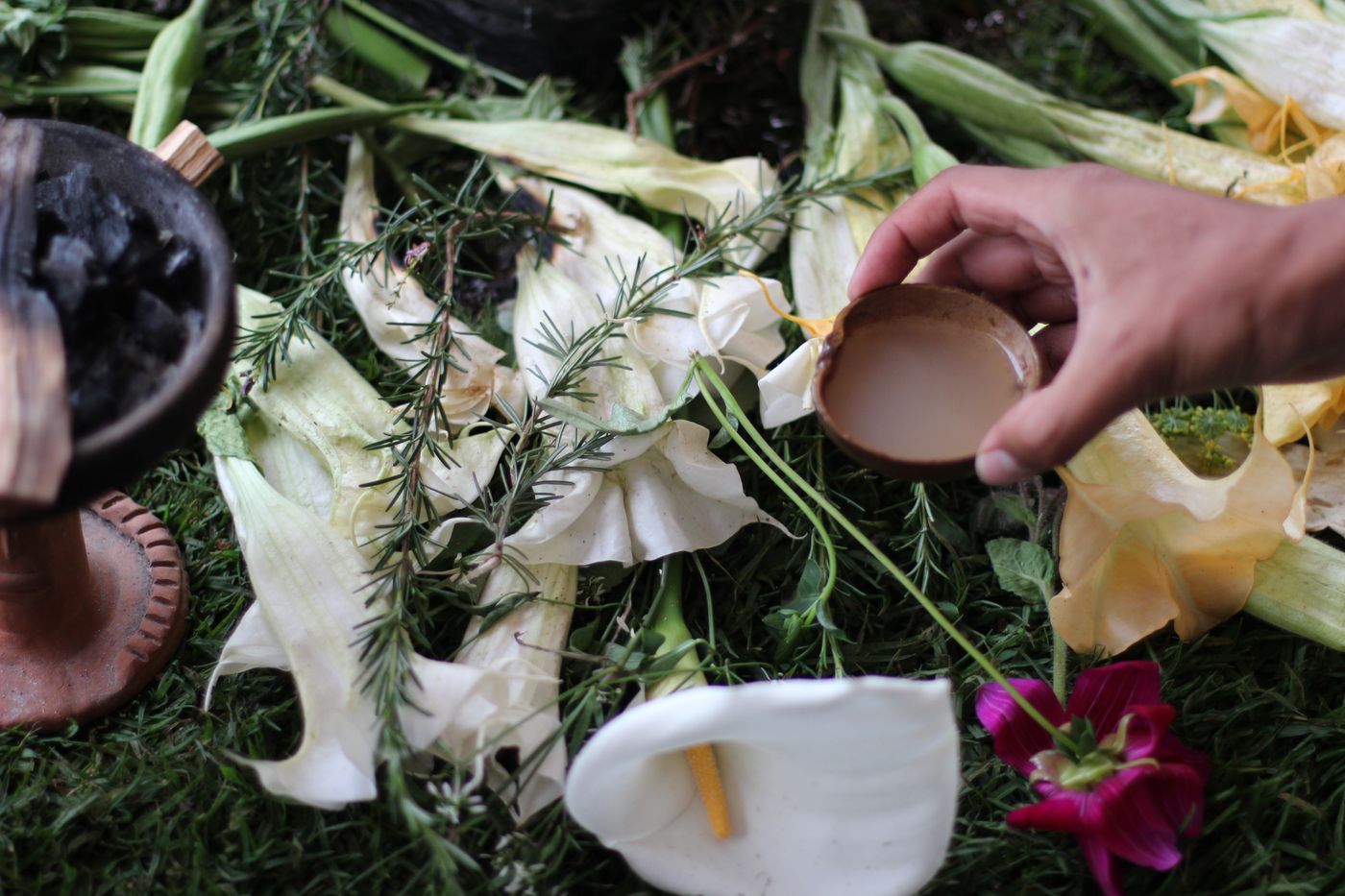A hand placing an offering over white flowers and herbs laid on the grass beside a clay vessel