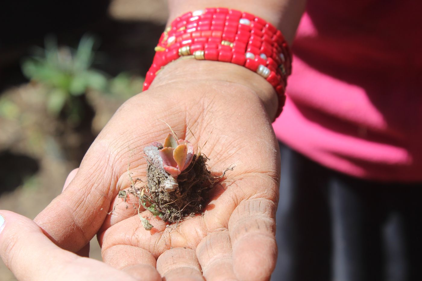 An open hand holding a tiny newborn bird in a nest of moss